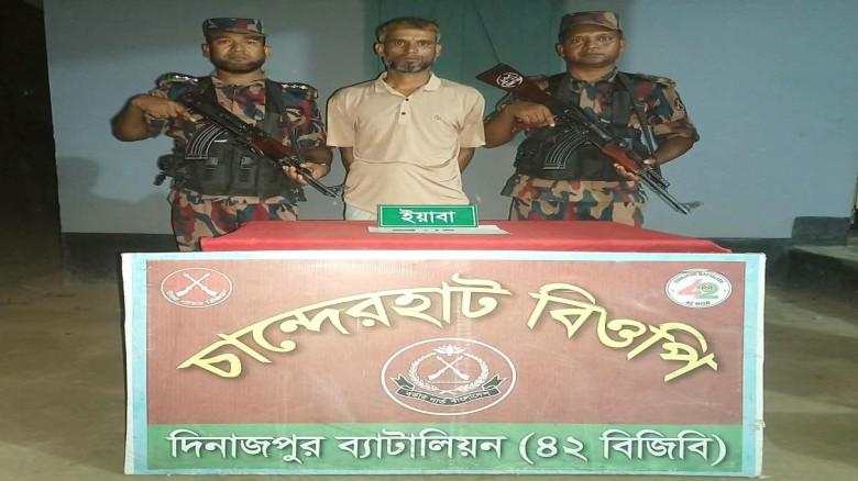 পীরগঞ্জ ও বিরল সীমান্তে পৃথক অভিযানে ইয়া